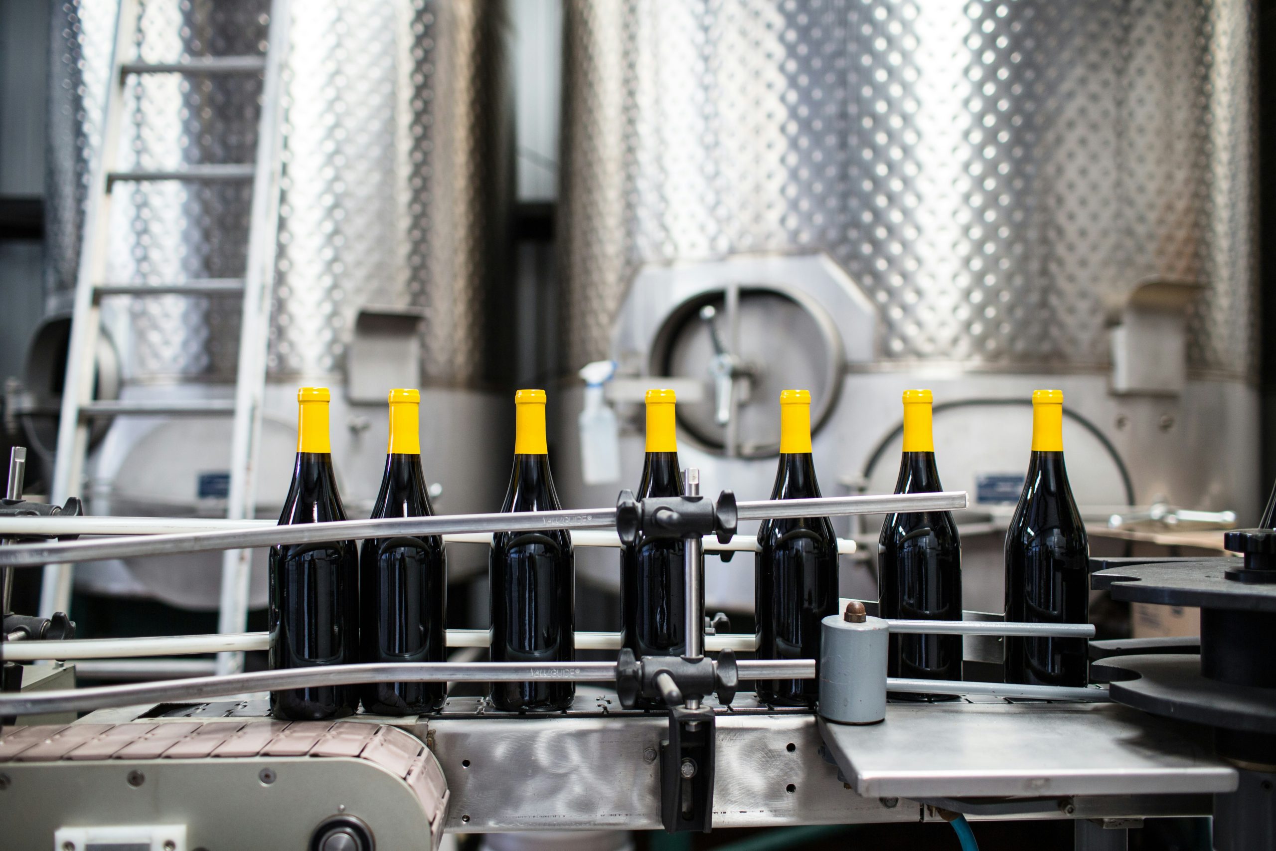 wine production 1